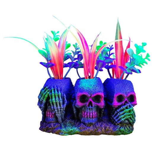 ADORNO ACUARIO RESINA 3 CALAVERAS 5.5&quot; NEON