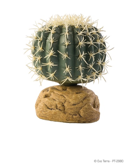 ADORNO TERRARIO BARREL CACTUS 3&quot;