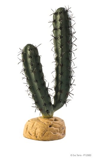 ADORNO TERRARIO FINGER CACTUS 7&quot;