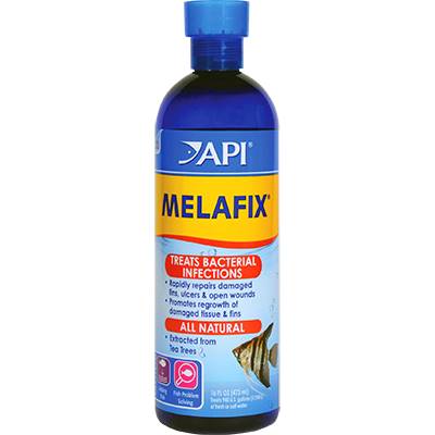 MEDICAMENTO PECES PIMAFIX ANTIHONGOS