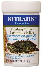 ALIMENTO TORTUGA