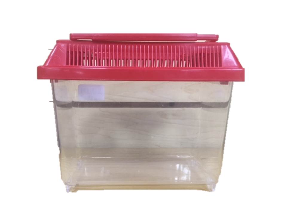 PECERA PLASTICA