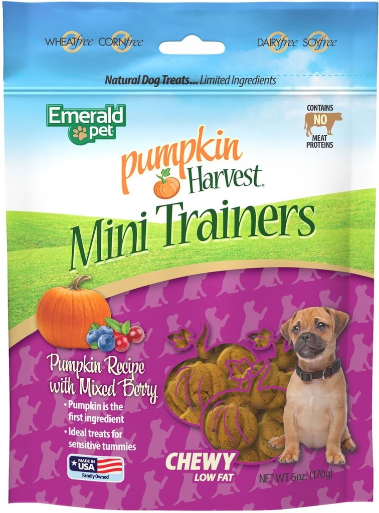TREAT PERRO PUMPKIN HARVEST TRAINERS 6OZ