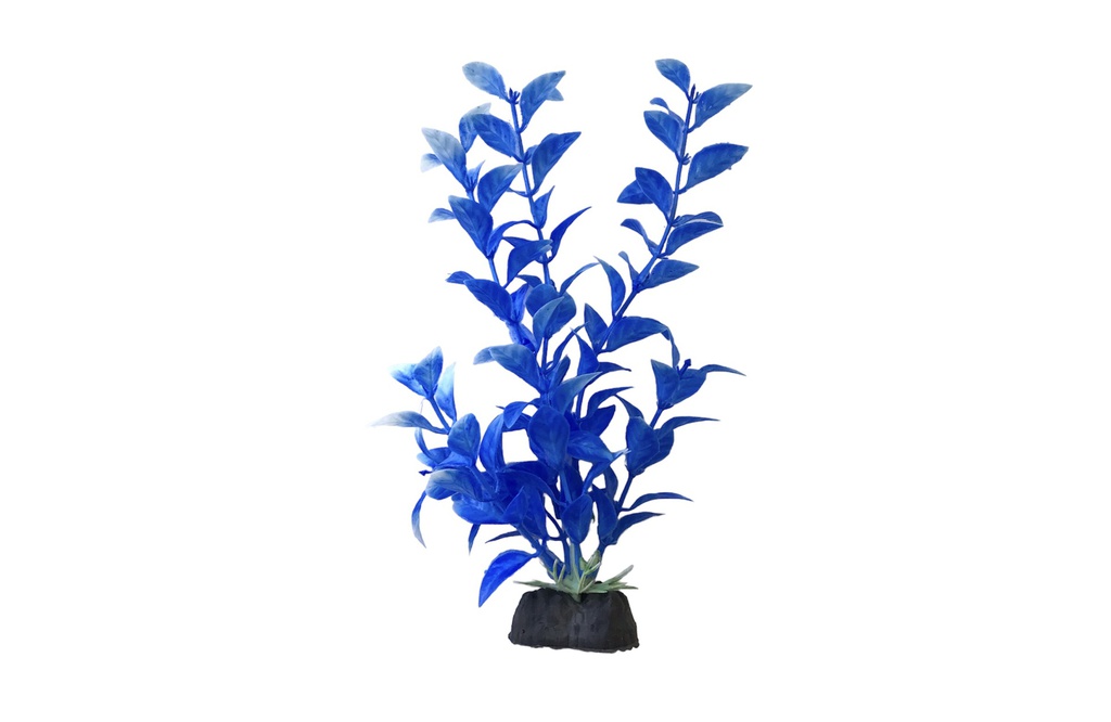PLANTA DE ACUARIO C/BASE MEDIUM 8&quot;