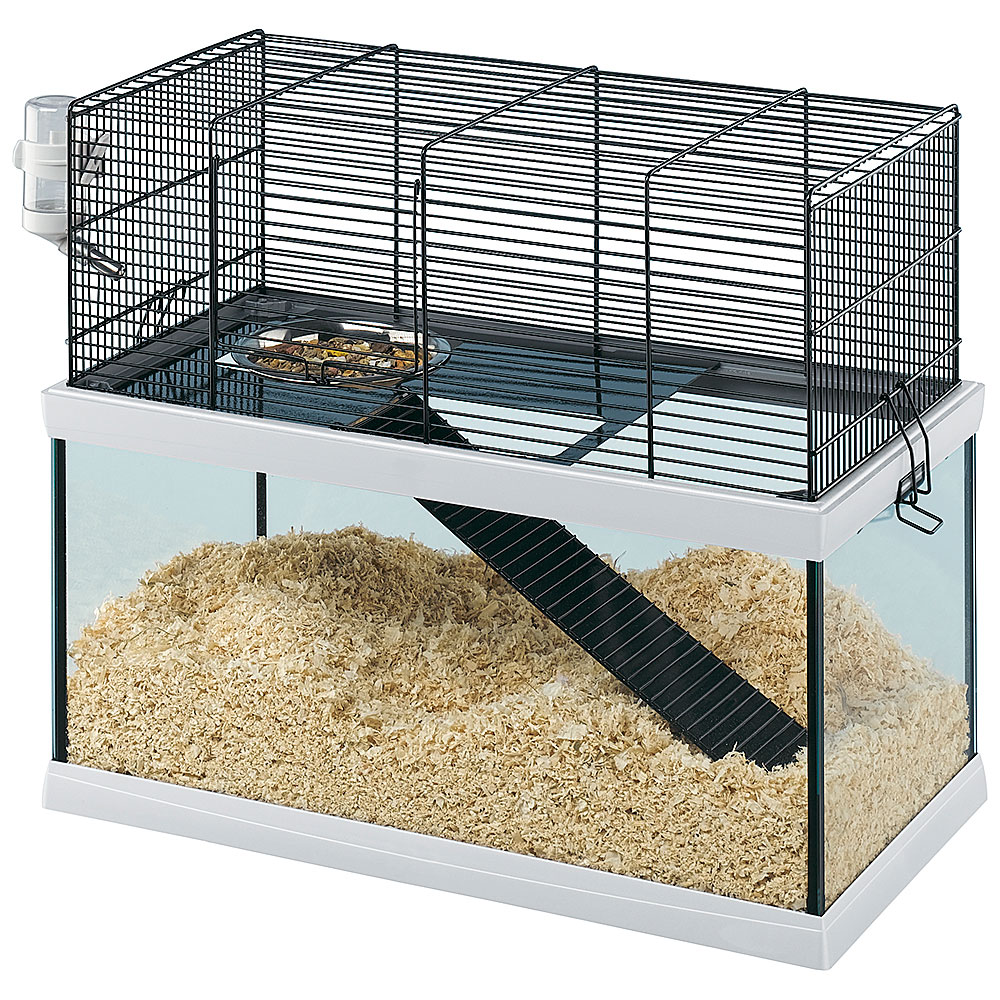 HABITAT ROEDORES GABRY