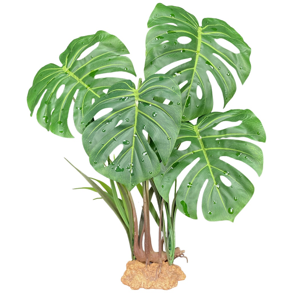 PLANTA PLASTICA KOMODO