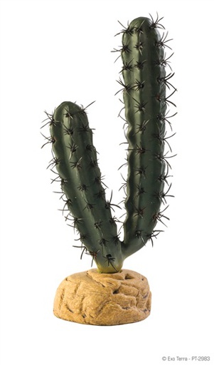 [PT-2983] ADORNO TERRARIO FINGER CACTUS 7&quot;