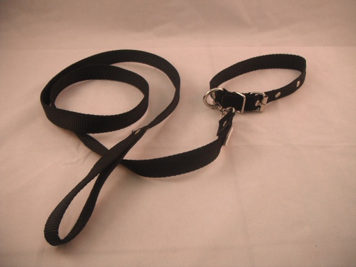 [COLLAR-3-N] COLLAR Y PASEADOR #3 NEGRO ECONOMICO