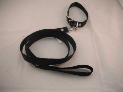 [COLLAR-4-N] COLLAR Y PASEADOR #4 NEGRO ECONOMICO