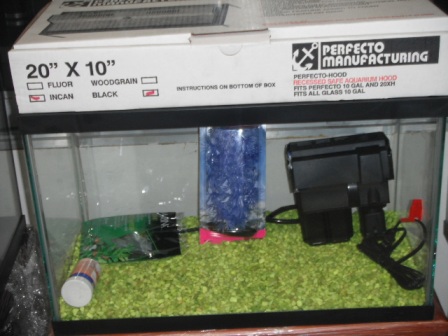 [10100-AF] KIT PECERA 10GLS TAPA FLUORECENTE