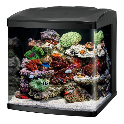 [15662] KIT PECERA BIOCUBE 32 LED CORALIFE