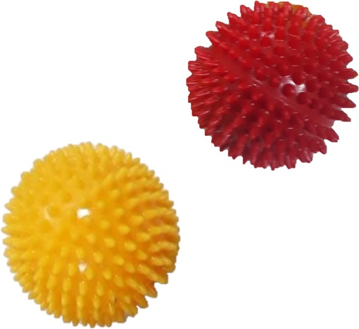 [10029] JUGUETE PERRO PELOTA SPIKE C/PITO