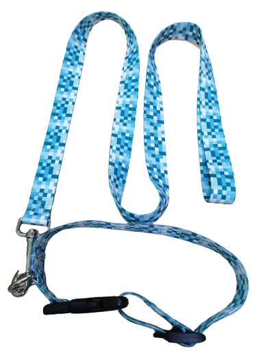 [C-733] PASEADOR Y COLLAR ECO M CUADROS AZUL AJUSTABLE