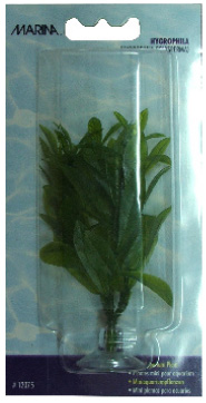 [12075] XXPLANTA DE ACUARIO MINI HYGROPHILA VENTOSA