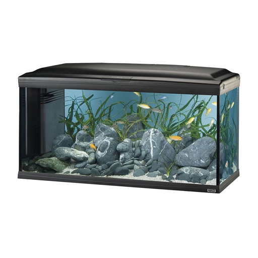 [75034] KIT PECERA CAYMAN 110  55 GLS