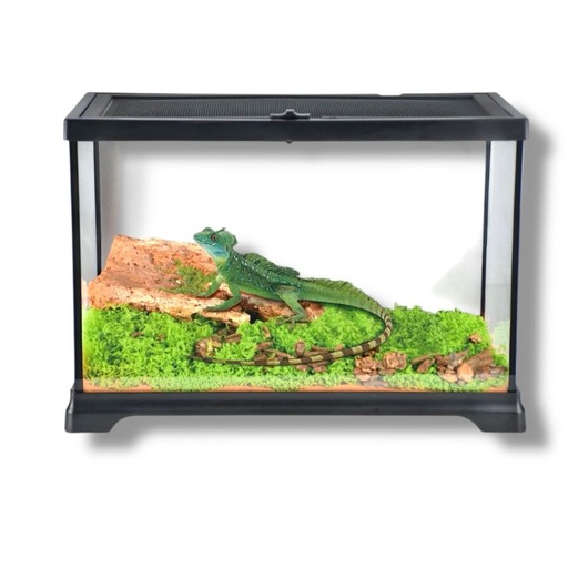 [TT-812] TERRARIO DE CRISTAL SMALL 12X6X9