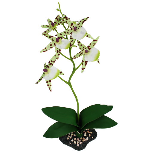 PLANTA PLASTICA KOMODO