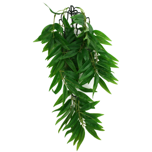 PLANTA PLASTICA KOMODO