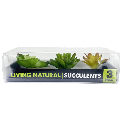 PLANTA PLASTICA KOMODO SUCCULENTS 3/1
